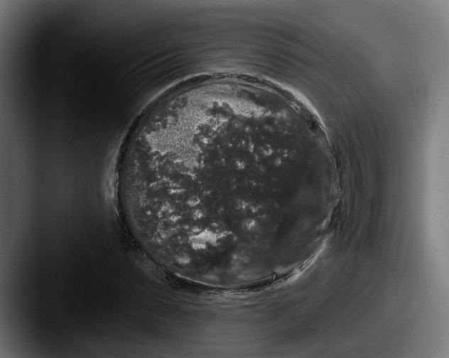 X0000087530879200705181028