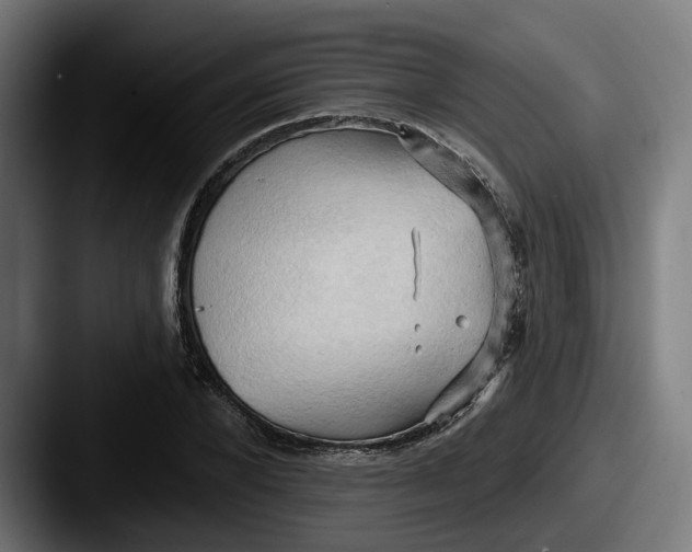 X0000087530880200705181028