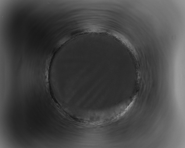 X0000087530881200705181028