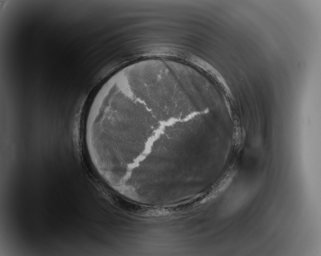 X0000087530882200705181028