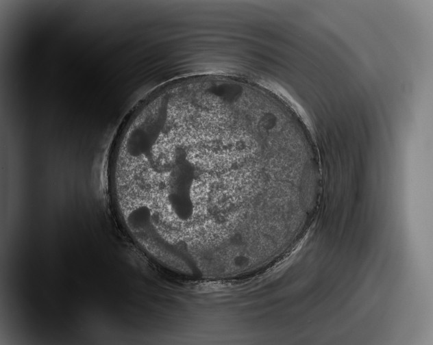 X0000087530883200705181028