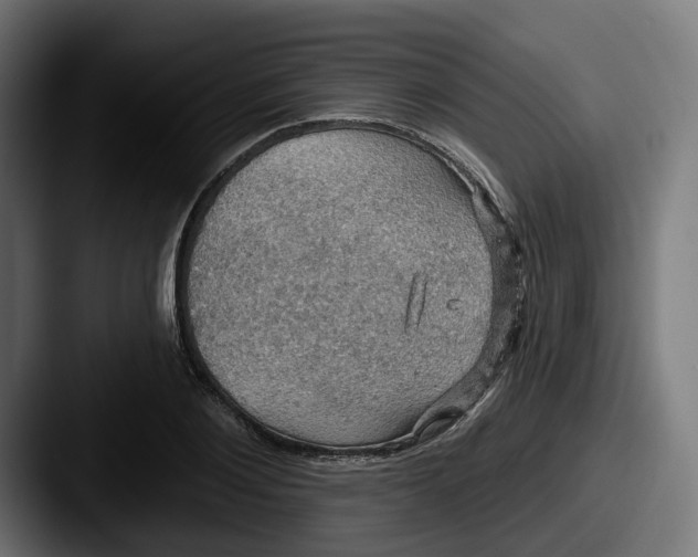 X0000087530884200705181028