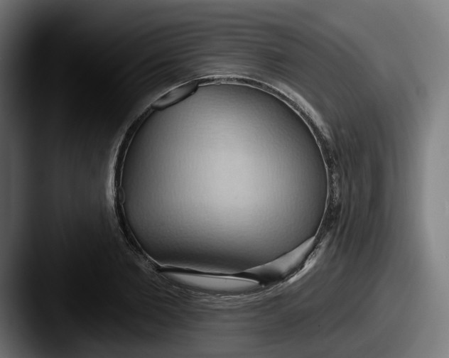 X0000087530885200705181028