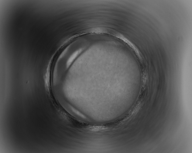 X0000087530886200705181028