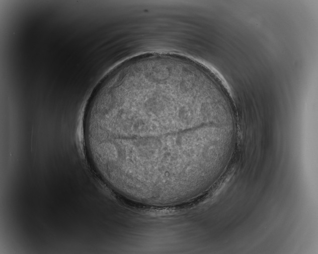 X0000087530887200705181028