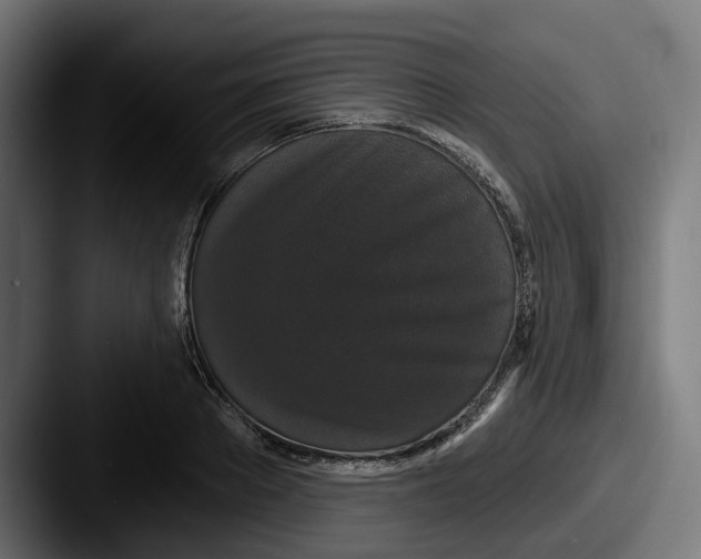 X0000087530889200705181028