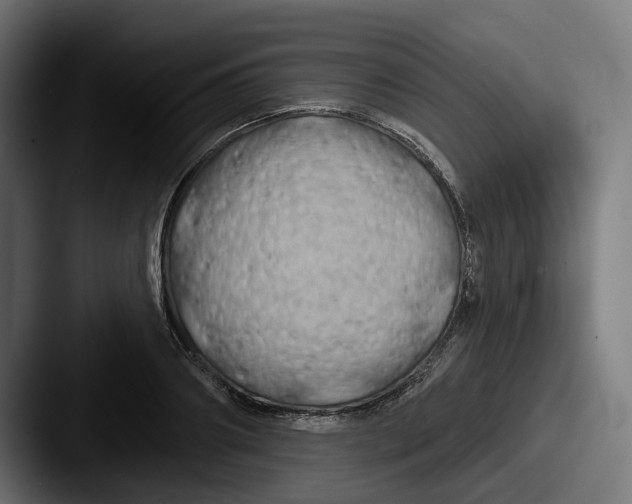 X0000087530890200705181028