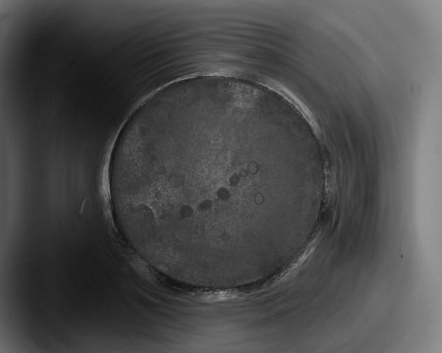 X0000087530891200705181028