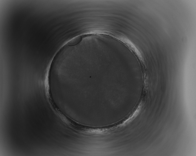 X0000087530892200705181028