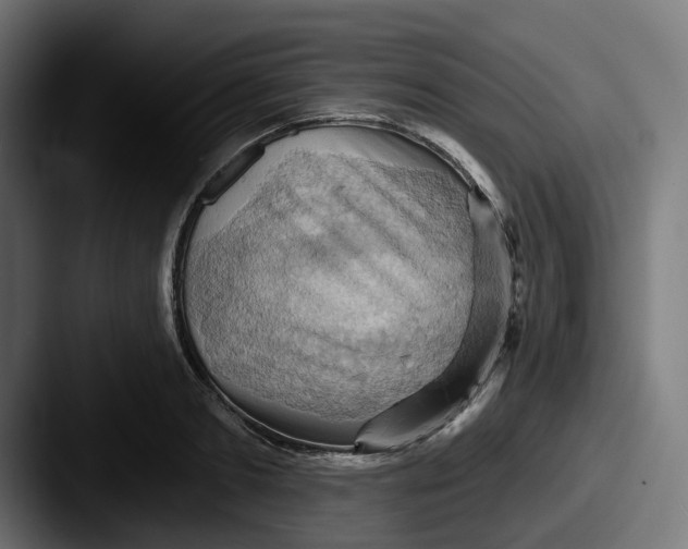 X0000087530893200705181028