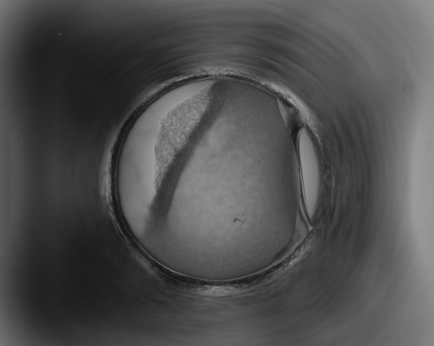 X0000087530894200705181028