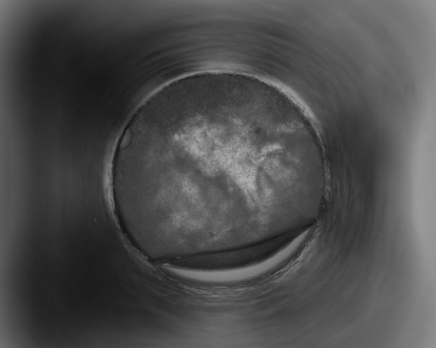 X0000087530895200705181028