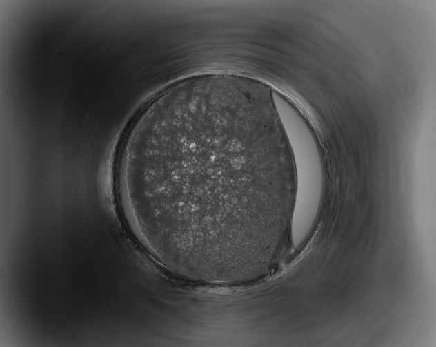 X0000087530896200705181028