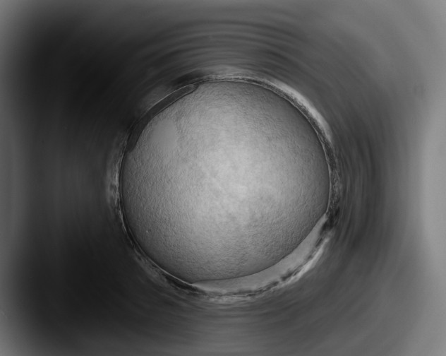 X0000087530897200705181028