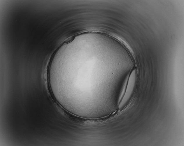 X0000087530898200705181028