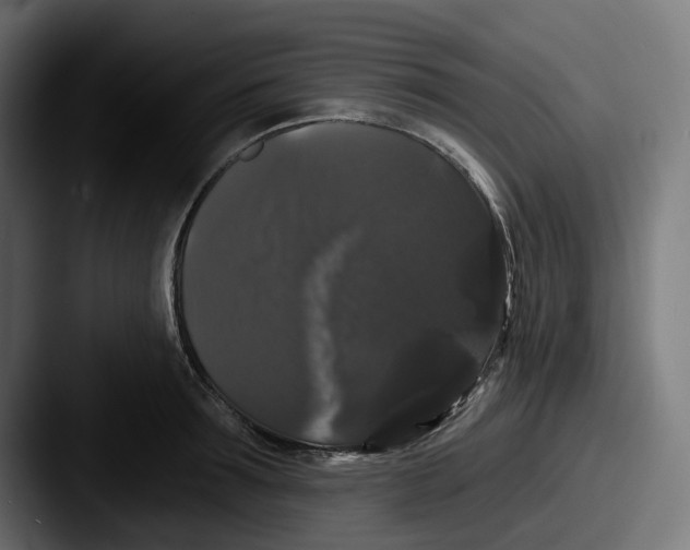 X0000087530899200705181028