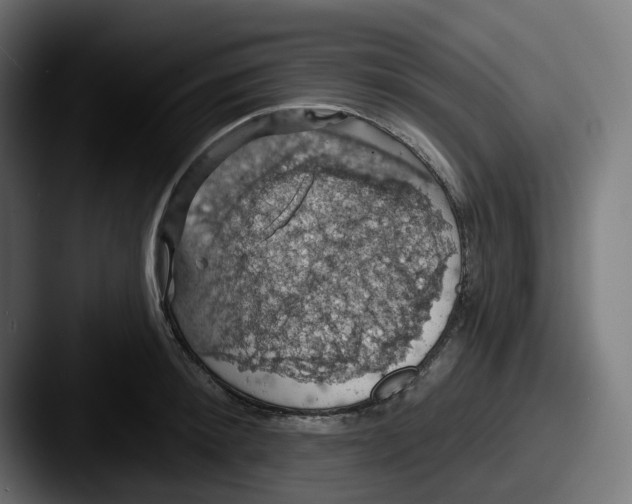 X0000087530900200705181028