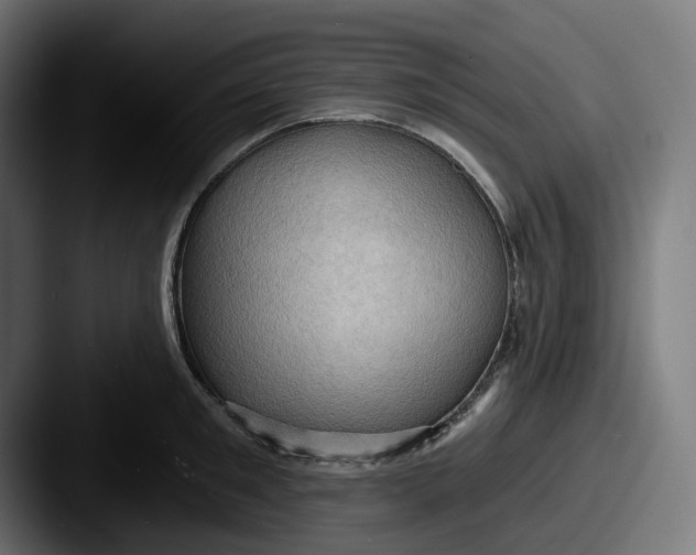 X0000087530901200705181028