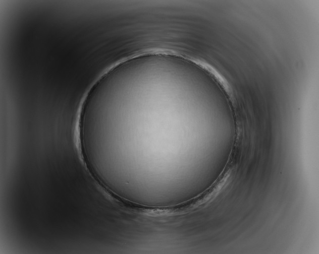 X0000087530902200705181028