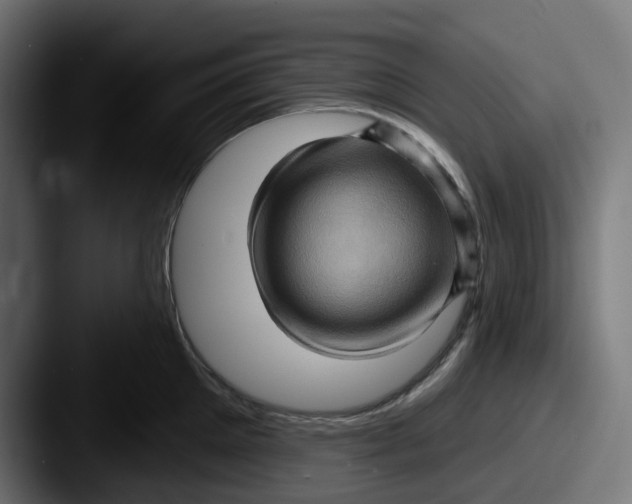 X0000087530905200705181028