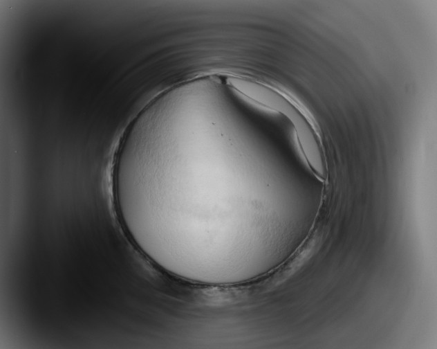 X0000087530906200705181028