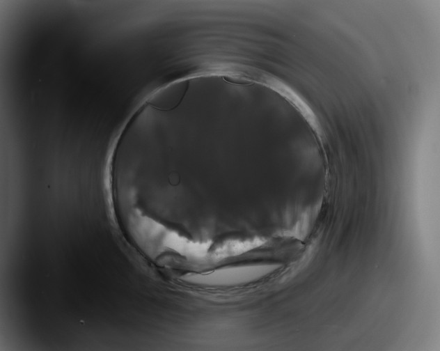 X0000087530907200705181028