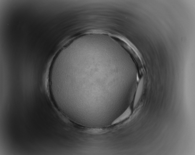 X0000087530909200705181028