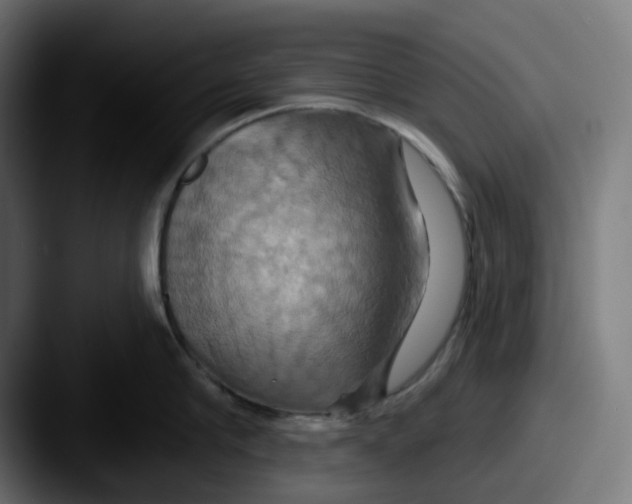 X0000087530910200705181028