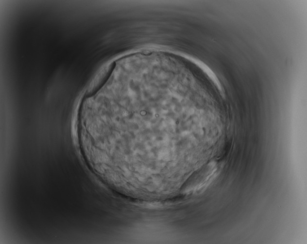 X0000087530911200705181028