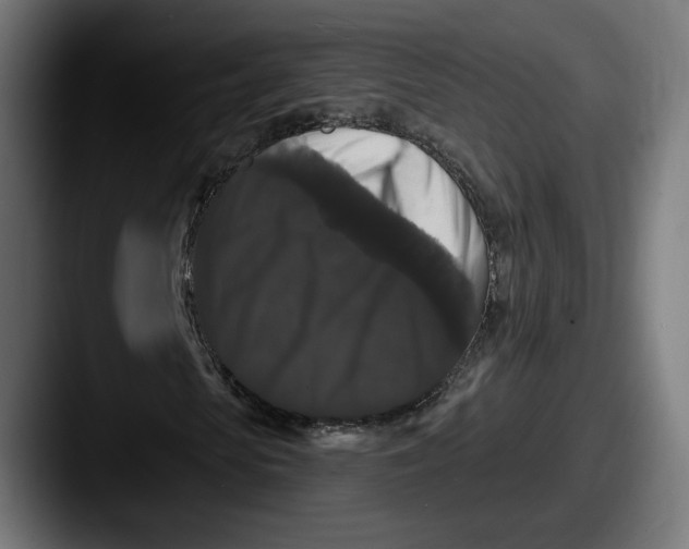 X0000087530913200705181028