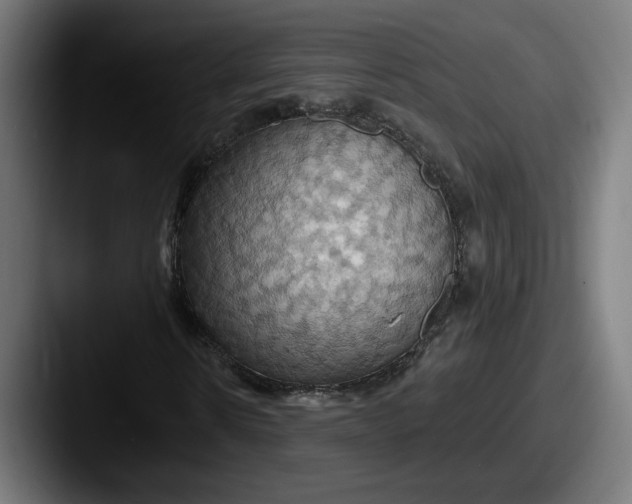 X0000087530914200705181028