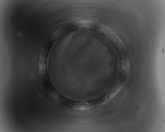 X0000087530916200705181028