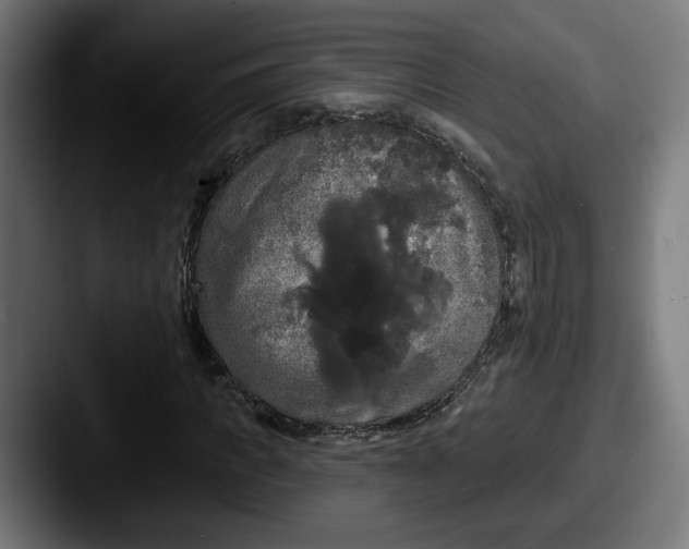 X0000087530917200705181028