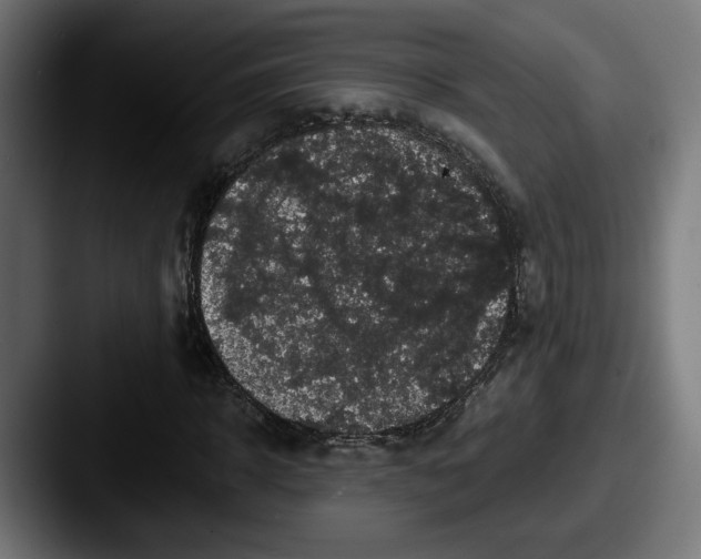 X0000087530918200705181028