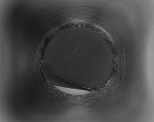 X0000087530919200705181028