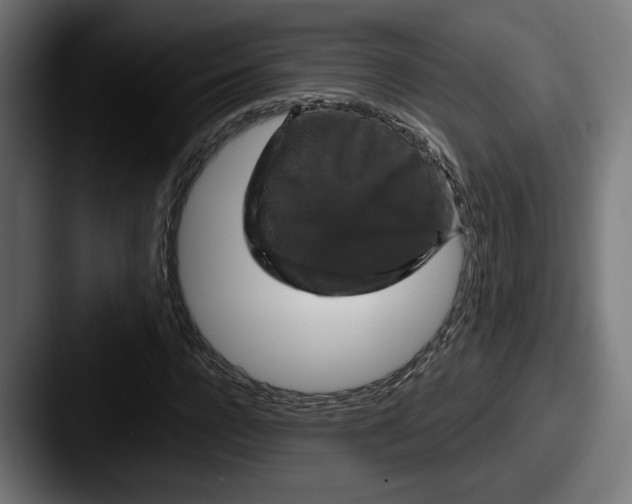 X0000087530920200705181028