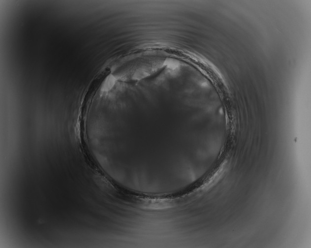 X0000087530921200705181028