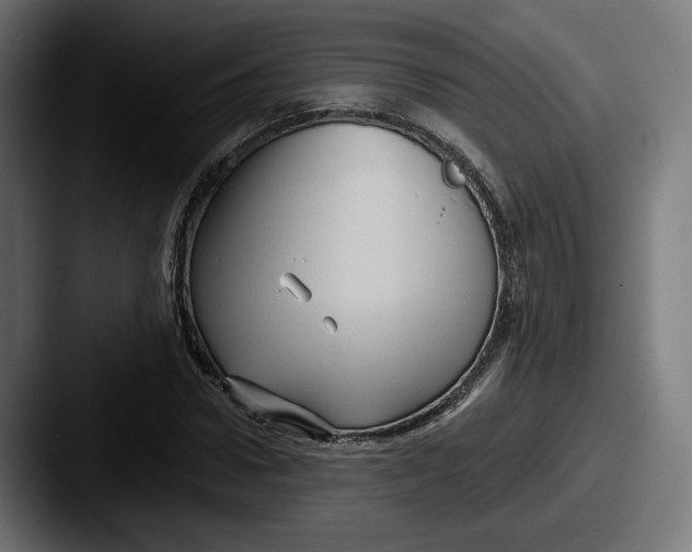 X0000087530922200705181028