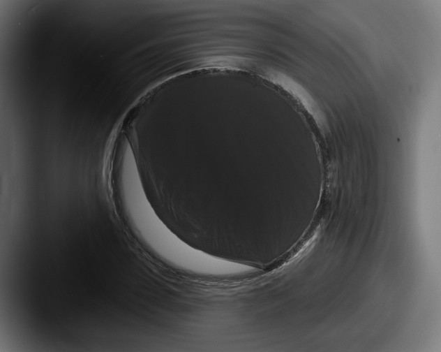 X0000087530923200705181028