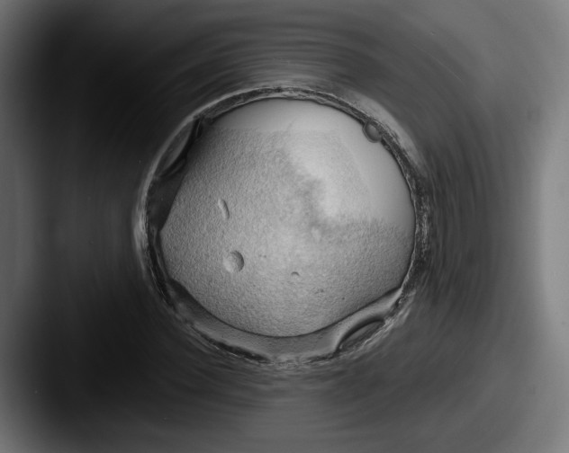 X0000087530924200705181028