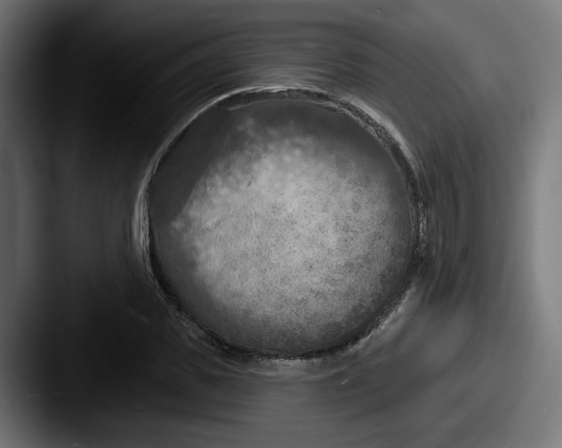 X0000087530925200705181028