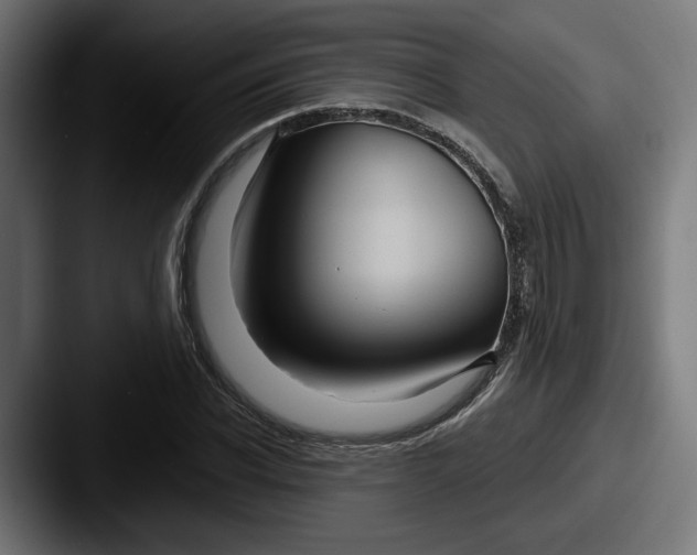 X0000087530926200705181028