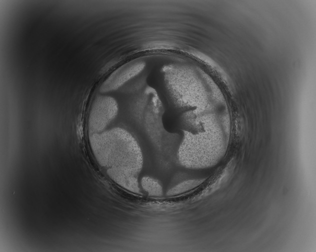 X0000087530929200705181028