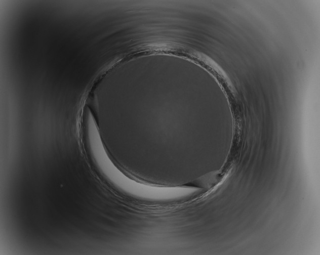 X0000087530930200705181028