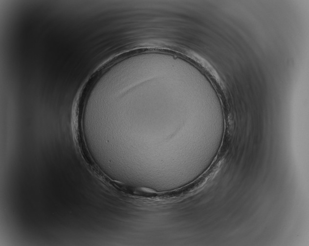 X0000087530931200705181028