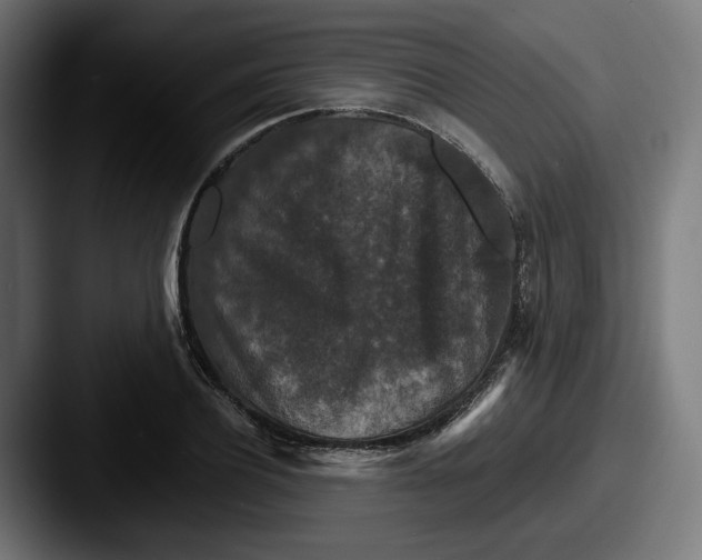 X0000087530932200705181028