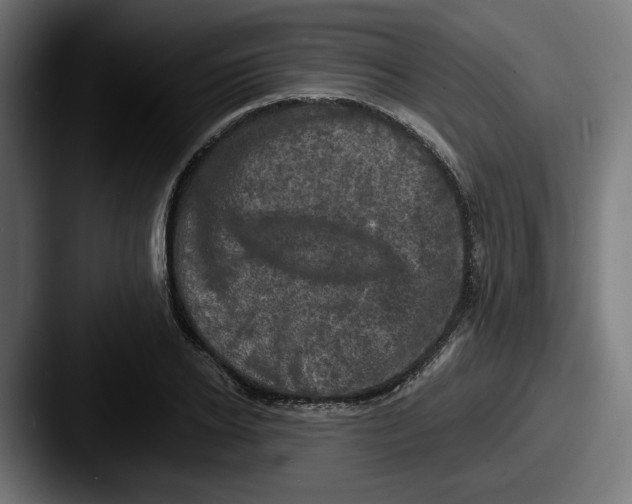 X0000087530934200705181028