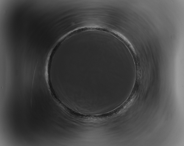 X0000087530935200705181028