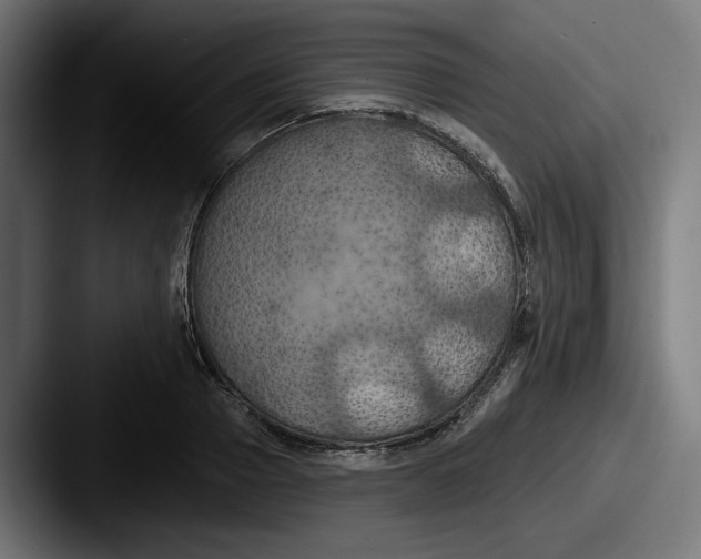 X0000087530937200705181028