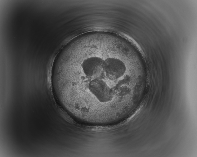 X0000087530938200705181028